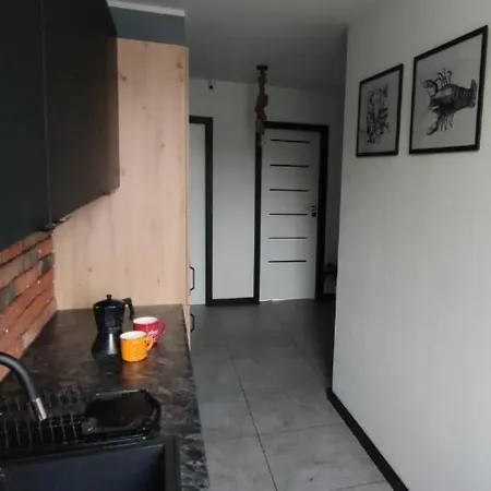 Kraken * קולובז'ג